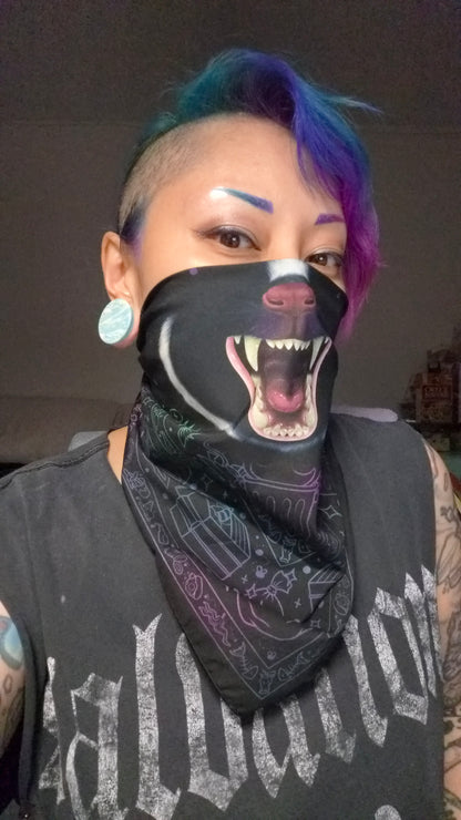 2026 Bandanas