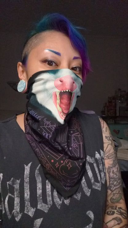 2026 Bandanas